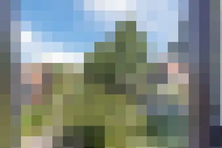 Kievitsbloem 21 Breukelen thumbnail 22