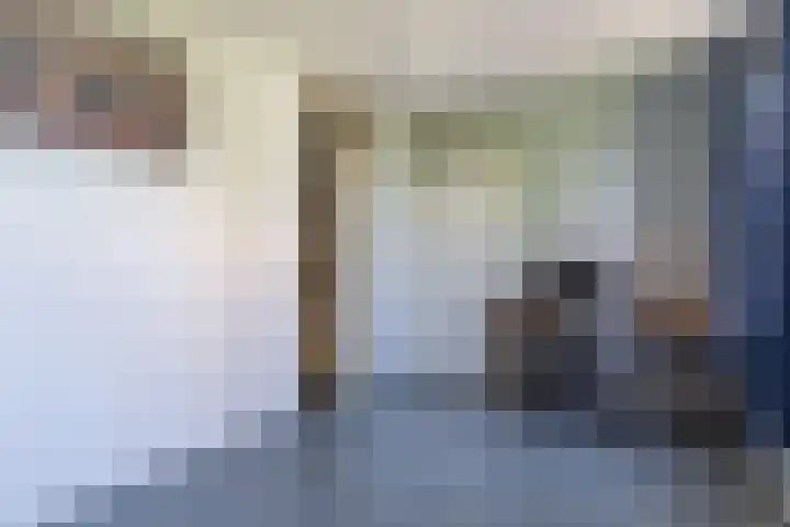 Kievitsbloem 21 Breukelen thumbnail 23