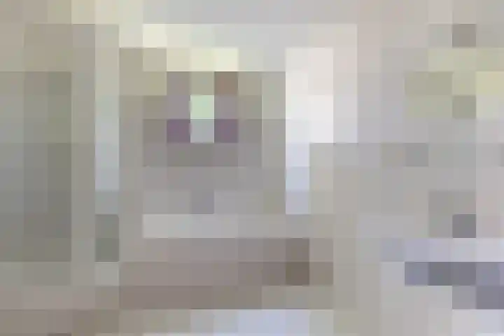 Kievitsbloem 21 Breukelen thumbnail 24