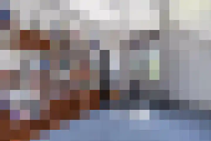 Kievitsbloem 21 Breukelen thumbnail 28