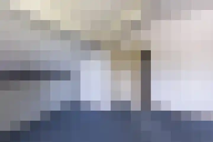 Kievitsbloem 21 Breukelen thumbnail 29