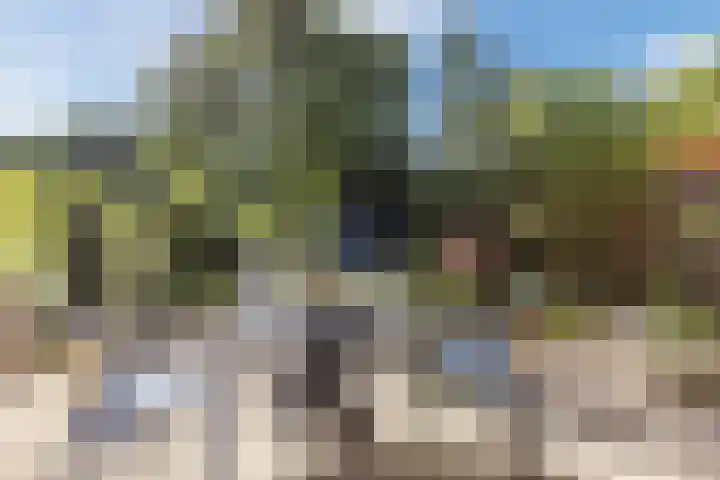 Kievitsbloem 21 Breukelen thumbnail 32