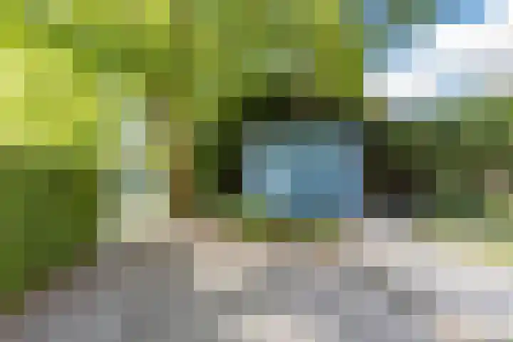 Kievitsbloem 21 Breukelen thumbnail 33
