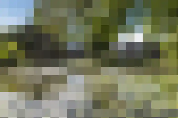 Kievitsbloem 21 Breukelen thumbnail 35
