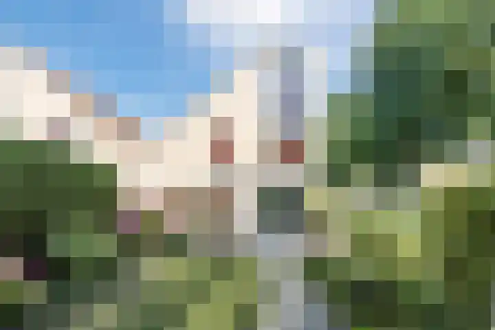 Kievitsbloem 21 Breukelen thumbnail 36