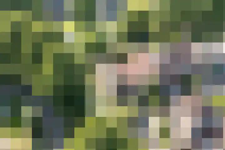 Kievitsbloem 21 Breukelen thumbnail 37