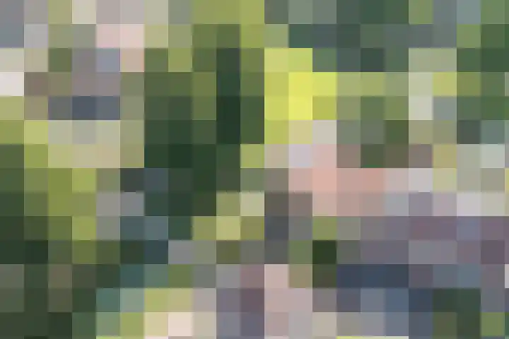 Kievitsbloem 21 Breukelen thumbnail 38