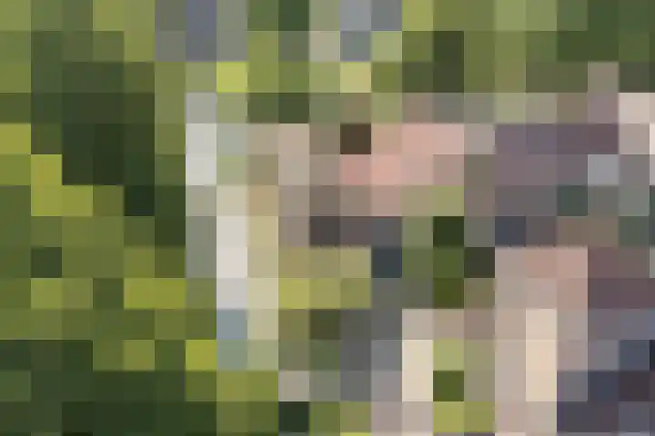 Kievitsbloem 21 Breukelen thumbnail 39