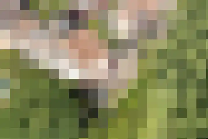 Kievitsbloem 21 Breukelen thumbnail 4