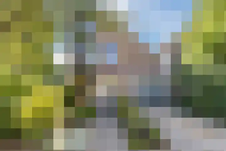 Kievitsbloem 21 Breukelen thumbnail 41