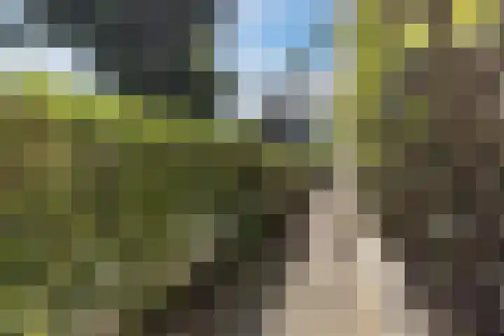 Kievitsbloem 21 Breukelen thumbnail 42