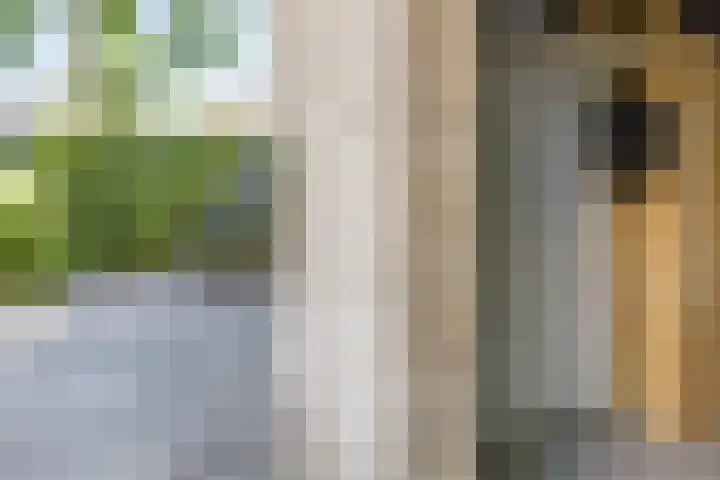 Kievitsbloem 21 Breukelen thumbnail 43