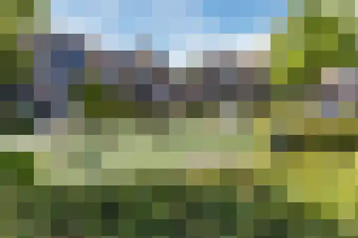 Kievitsbloem 21 Breukelen thumbnail 44