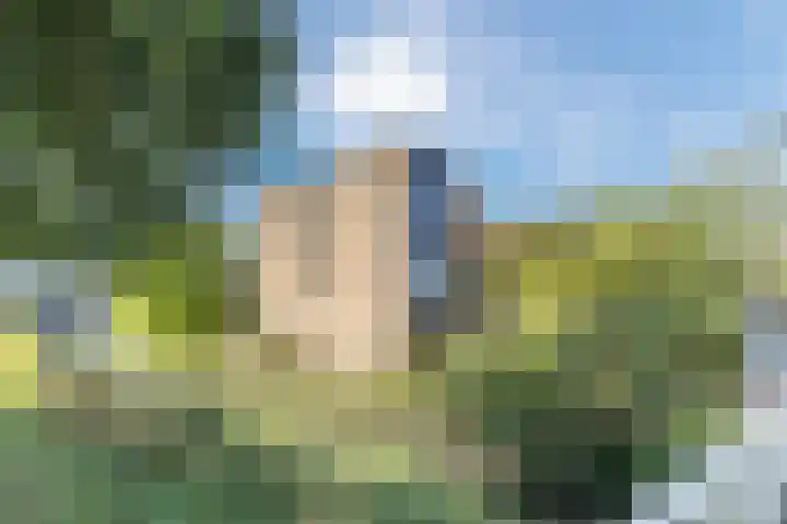 Kievitsbloem 21 Breukelen thumbnail 45