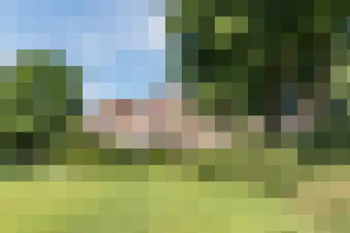Kievitsbloem 21 Breukelen thumbnail 46