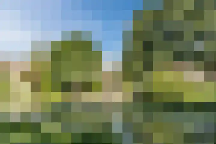Kievitsbloem 21 Breukelen thumbnail 47