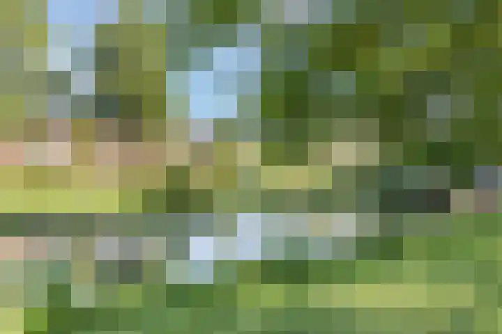 Kievitsbloem 21 Breukelen thumbnail 48