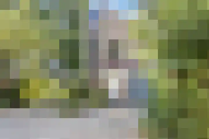 Kievitsbloem 21 Breukelen thumbnail 5