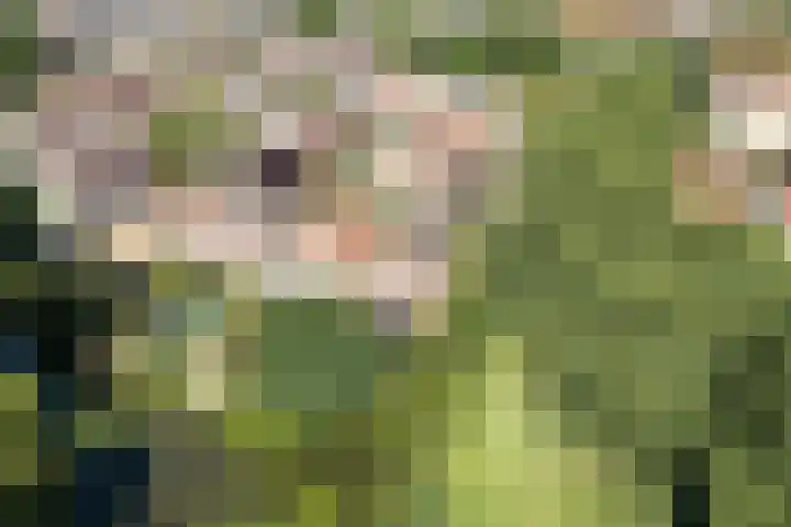 Kievitsbloem 21 Breukelen thumbnail 50
