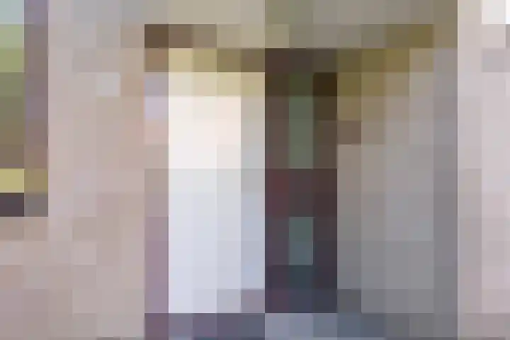 Kievitsbloem 21 Breukelen thumbnail 6
