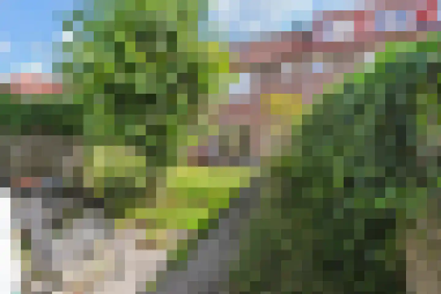 Kievitsbloem 21 Nootdorp thumbnail 33