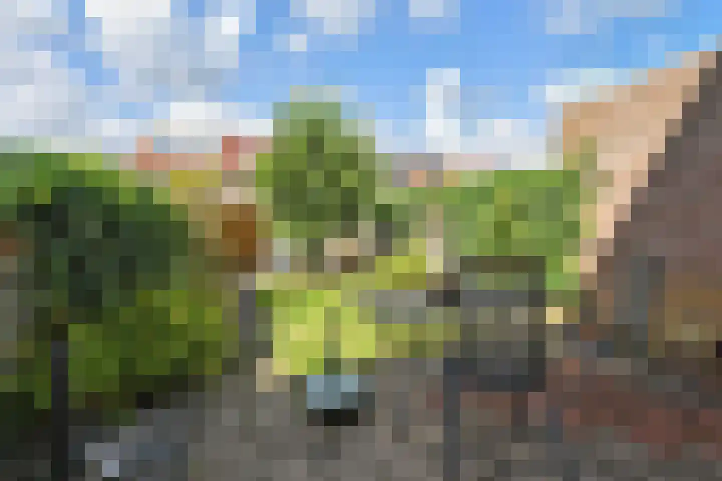 Kievitsbloem 21 Nootdorp thumbnail 34