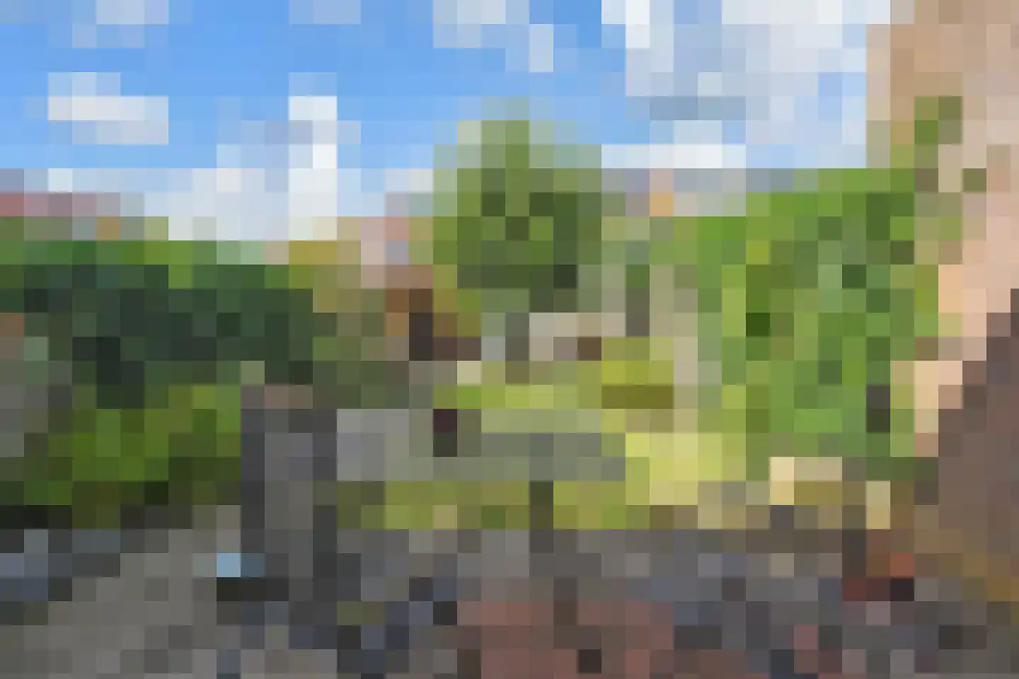 Kievitsbloem 21 Nootdorp thumbnail 35