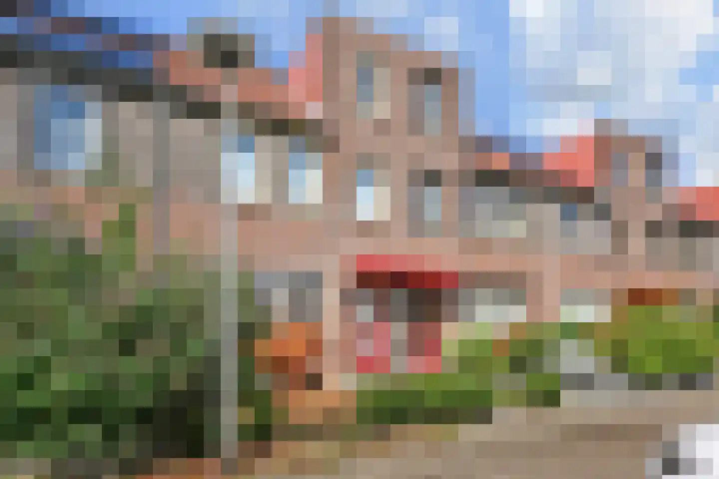 Kievitsbloem 21 Nootdorp thumbnail 40