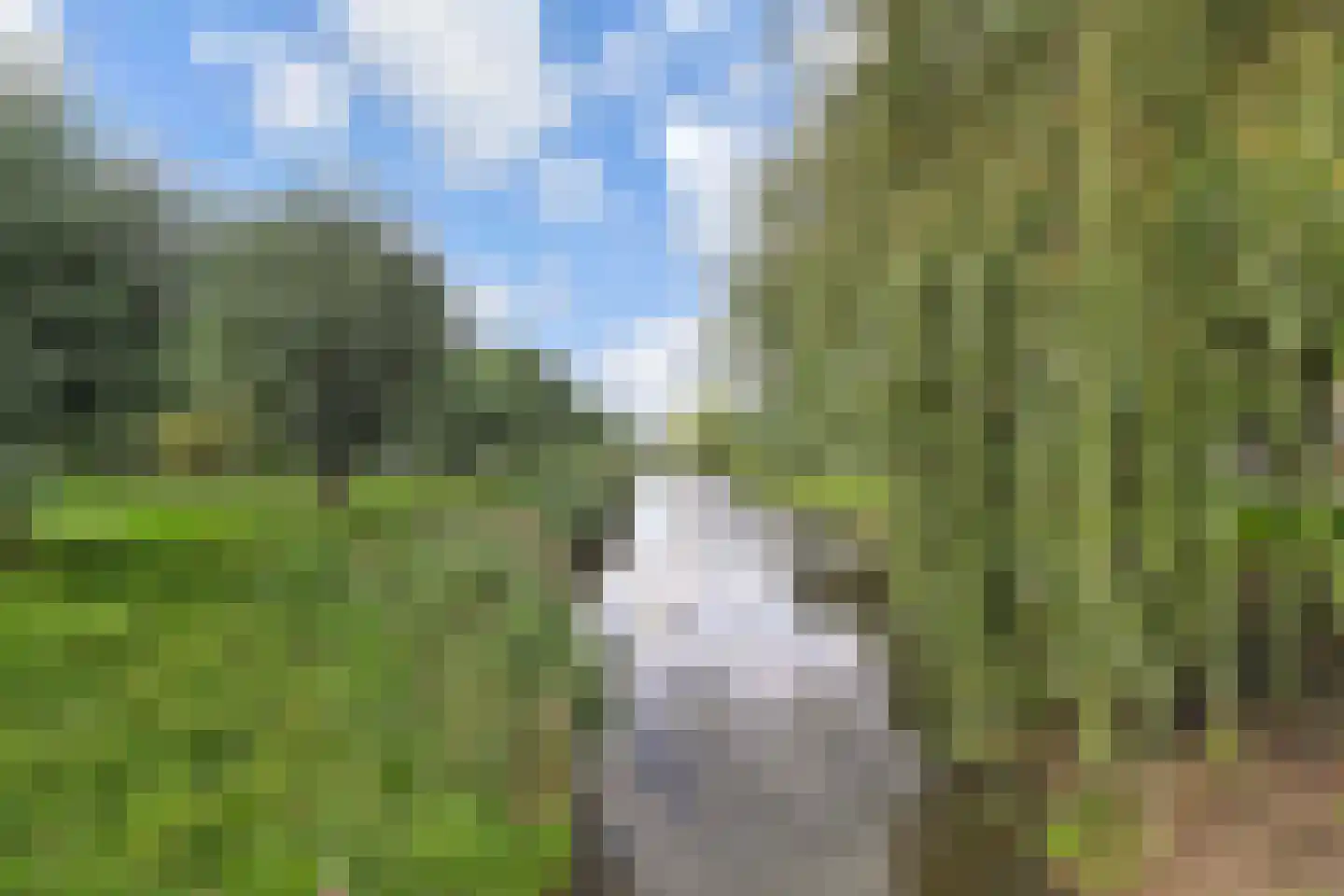 Kievitsbloem 21 Nootdorp thumbnail 43