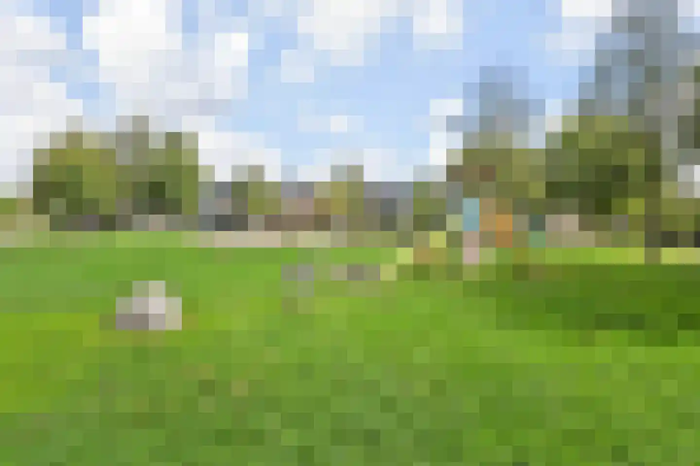 Kievitsbloem 21 Nootdorp thumbnail 46