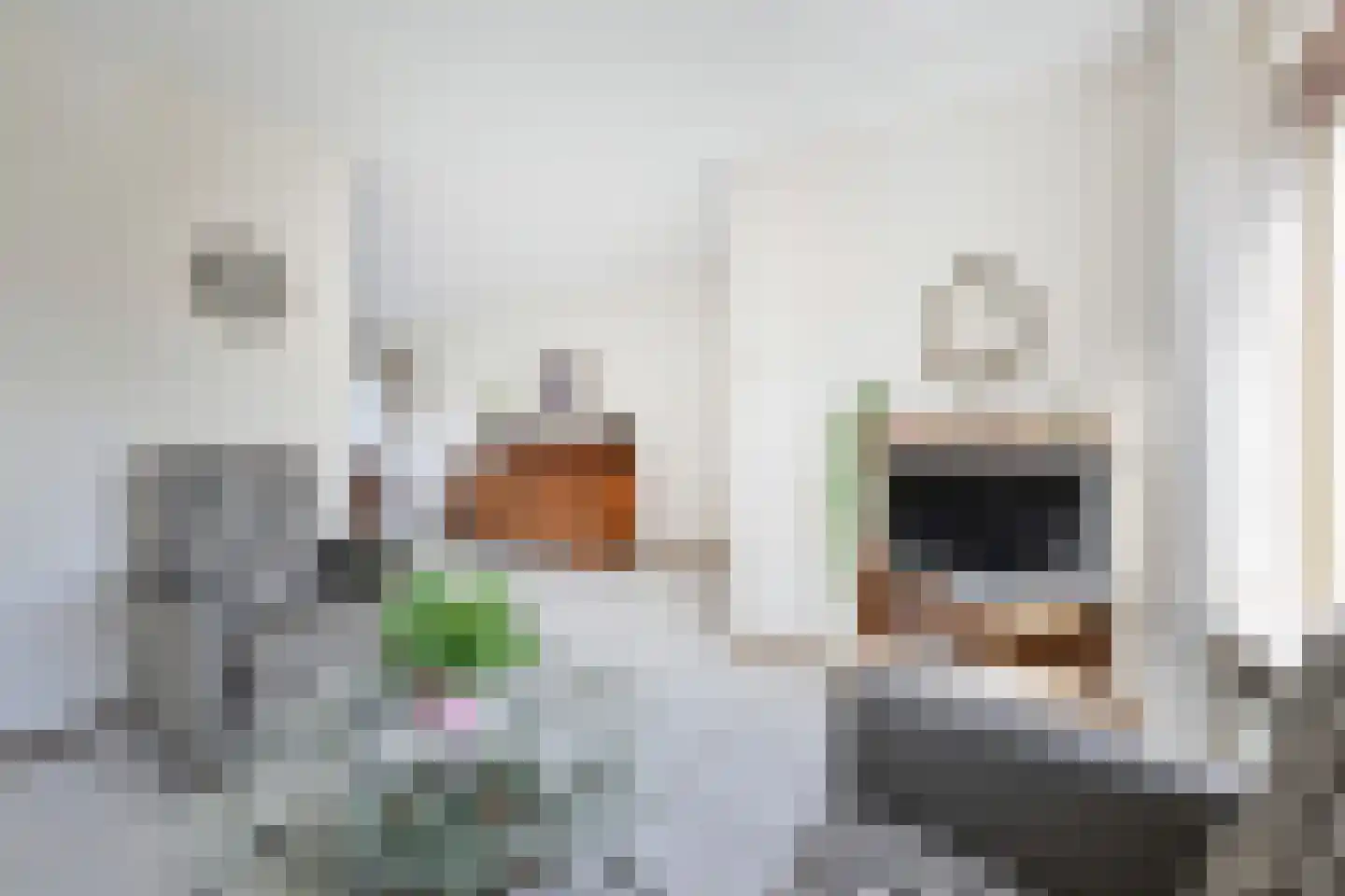 Kievitsbloem 21 Nootdorp thumbnail 6