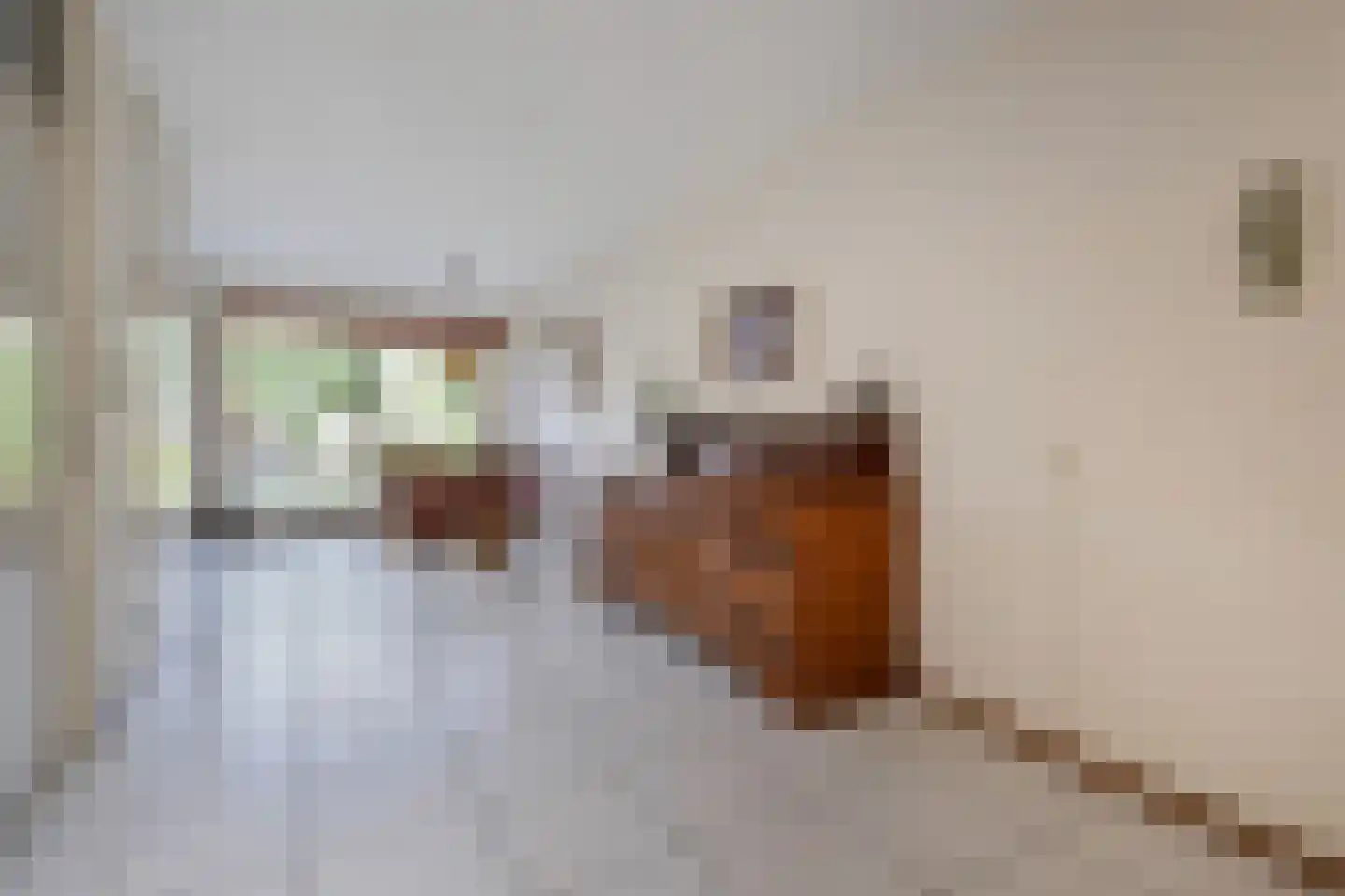 Kievitsbloem 21 Nootdorp thumbnail 8