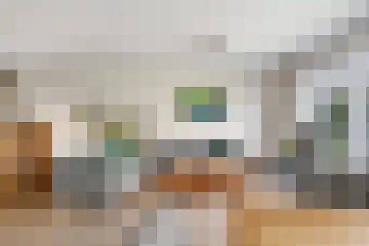 Kievitsbloem 32 Reeuwijk thumbnail 11