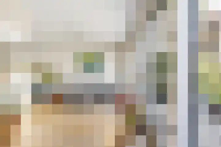 Kievitsbloem 32 Reeuwijk thumbnail 15