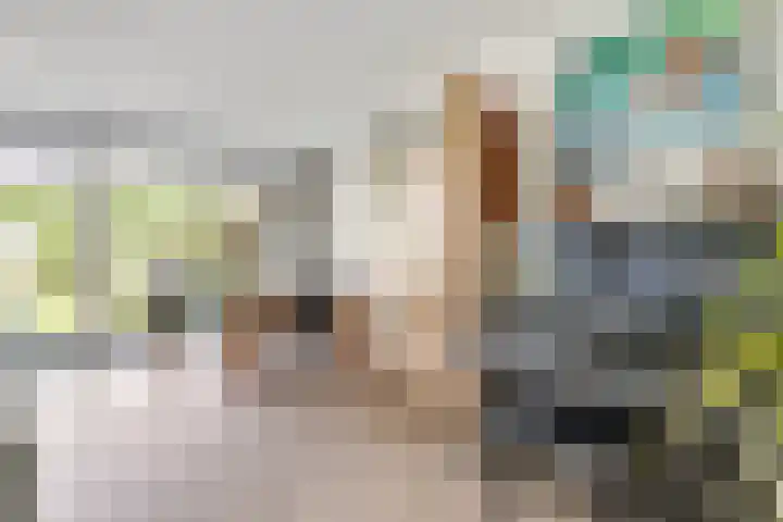 Kievitsbloem 32 Reeuwijk thumbnail 17