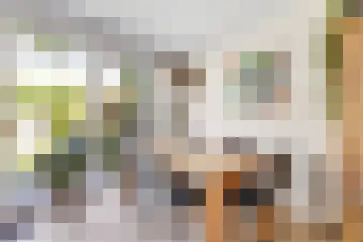 Kievitsbloem 32 Reeuwijk thumbnail 18