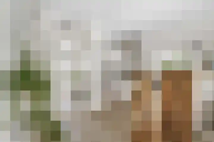 Kievitsbloem 32 Reeuwijk thumbnail 20