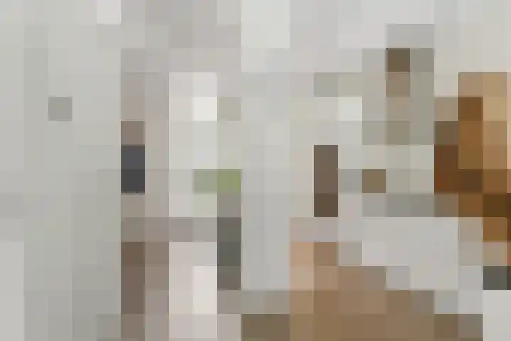 Kievitsbloem 32 Reeuwijk thumbnail 21