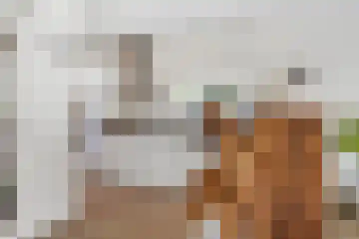 Kievitsbloem 32 Reeuwijk thumbnail 25