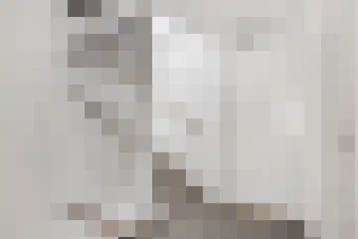 Kievitsbloem 32 Reeuwijk thumbnail 27