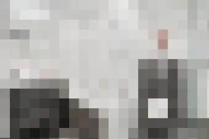 Kievitsbloem 32 Reeuwijk thumbnail 35