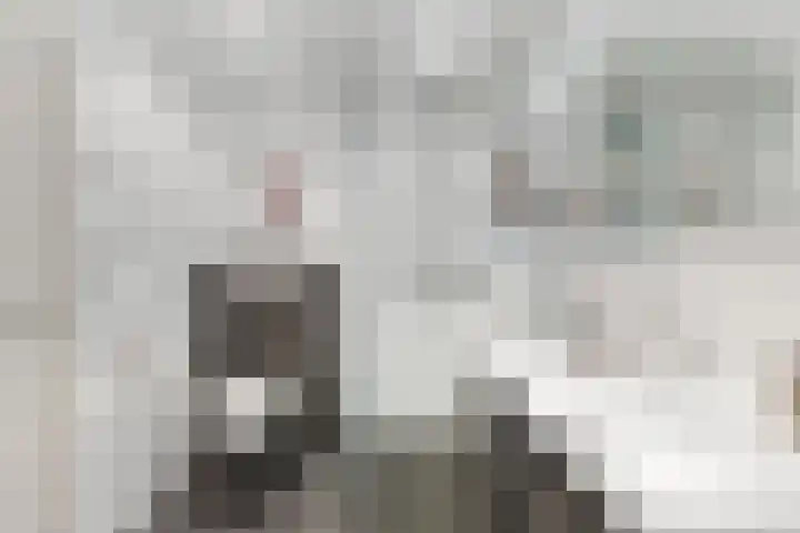 Kievitsbloem 32 Reeuwijk thumbnail 36