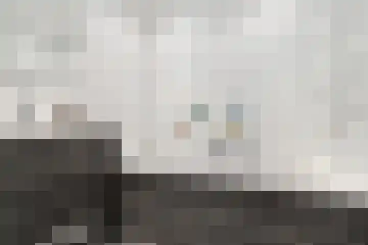 Kievitsbloem 32 Reeuwijk thumbnail 4