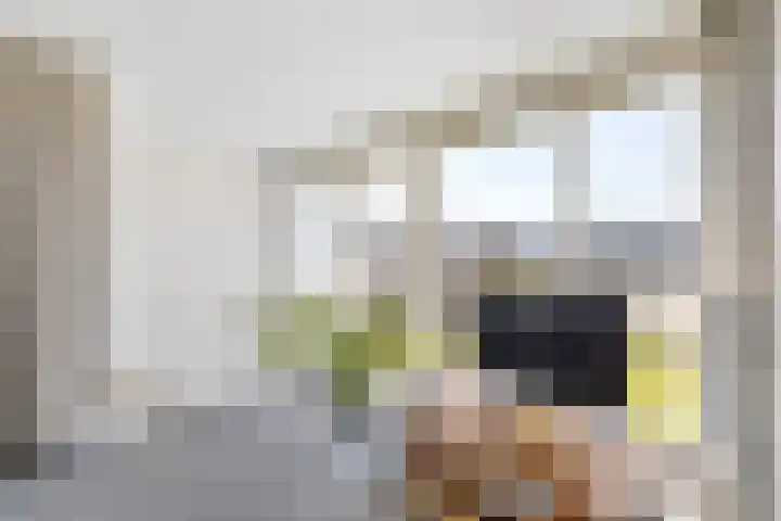 Kievitsbloem 32 Reeuwijk thumbnail 43