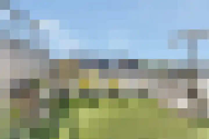 Kievitsbloem 32 Reeuwijk thumbnail 46