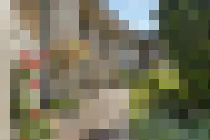 Kievitsbloem 32 Reeuwijk thumbnail 47