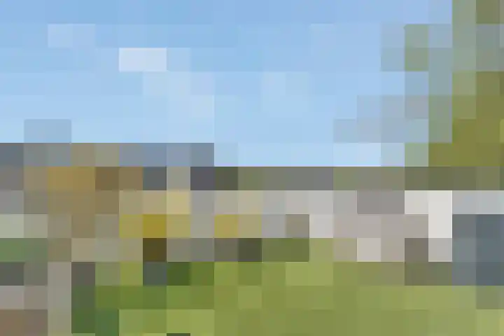 Kievitsbloem 32 Reeuwijk thumbnail 48