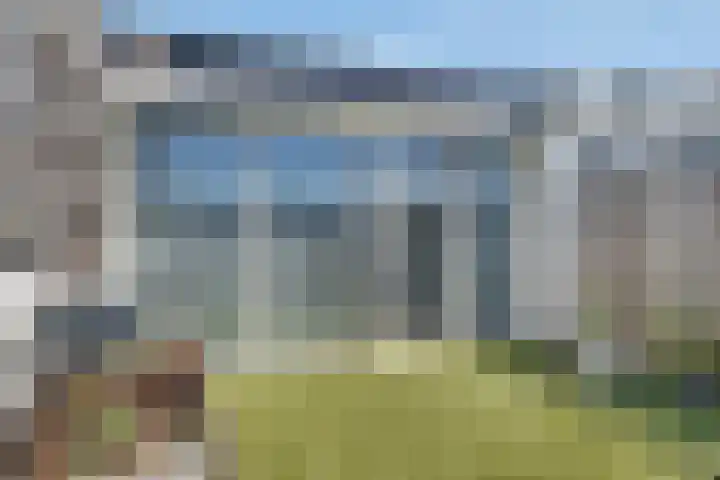Kievitsbloem 32 Reeuwijk thumbnail 49