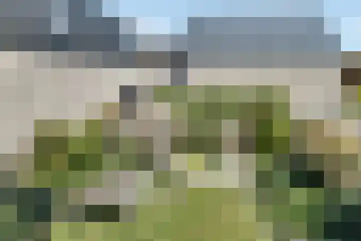 Kievitsbloem 32 Reeuwijk thumbnail 50