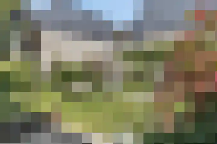 Kievitsbloem 32 Reeuwijk thumbnail 51